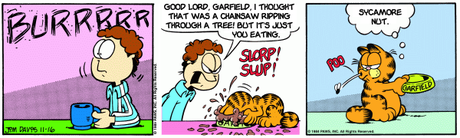 Garfield et les mèmes Garfield remixé