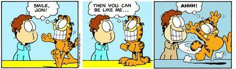 Garfield et les mèmes 0329