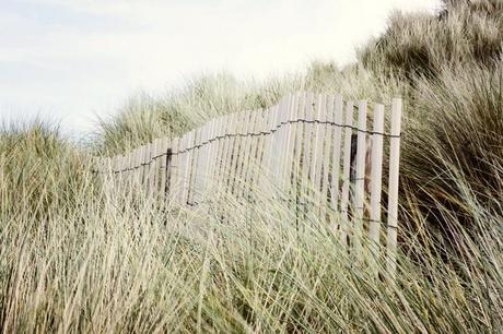 Palissades, Bretagne.