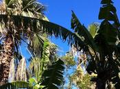 Hôtel Zenith Club retour vacances Tunisie