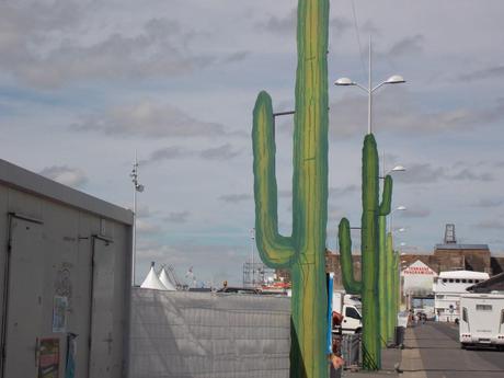 dans la vie il y a des cactus