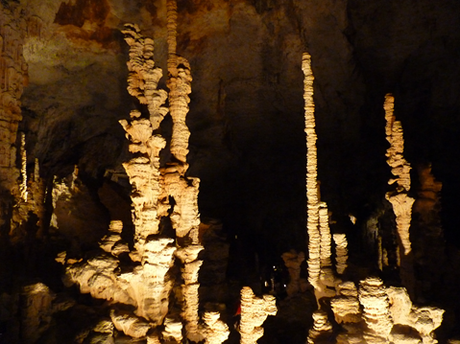 Des vacances et des livres