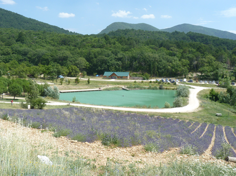 Des vacances et des livres