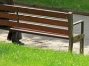 Lutter contre suicide personnes âgées