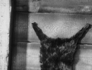 Hitchcock. Intégrale. 13ème film