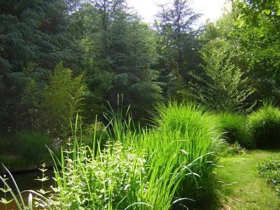 Etre vivant avant tout avec Bernard Campan (3)