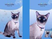 L'Autorité Tourisme Thaïlande Chat alors