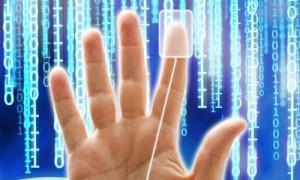 securite_informatique La puce et le progrès économique