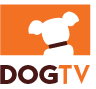 DogTV, un public de niche?