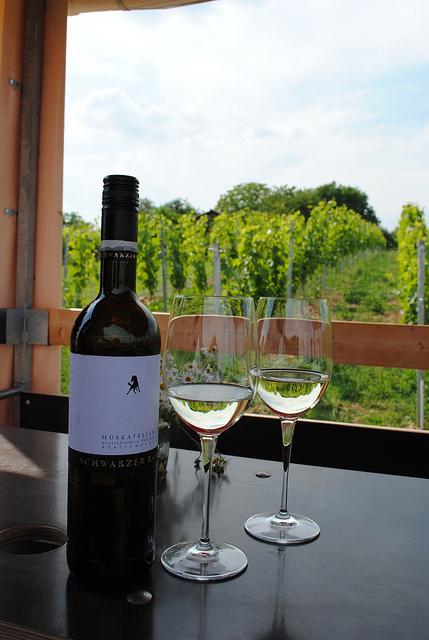 {Voyage dans le Bade-Wurtemberg} A la découverte des vignobles allemands