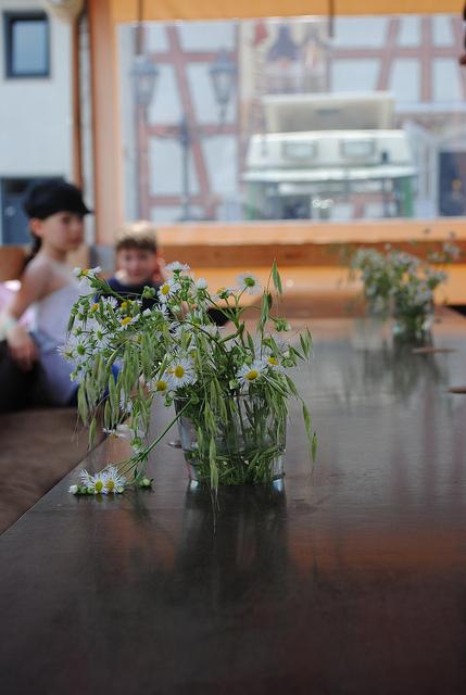 {Voyage dans le Bade-Wurtemberg} A la découverte des vignobles allemands