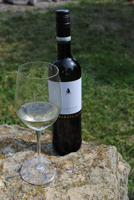 {Voyage dans le Bade-Wurtemberg} A la découverte des vignobles allemands