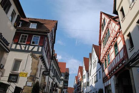 {Voyage dans le Bade-Wurtemberg} A la découverte des vignobles allemands