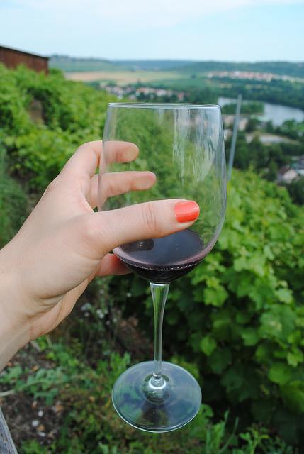 {Voyage dans le Bade-Wurtemberg} A la découverte des vignobles allemands