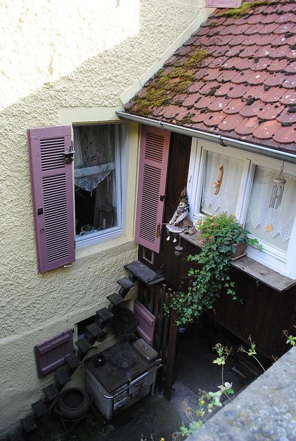 {Voyage dans le Bade-Wurtemberg} A la découverte des vignobles allemands