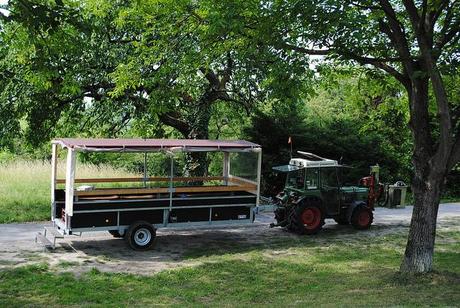 {Voyage dans le Bade-Wurtemberg} A la découverte des vignobles allemands