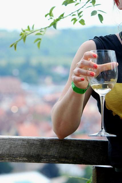 {Voyage dans le Bade-Wurtemberg} A la découverte des vignobles allemands