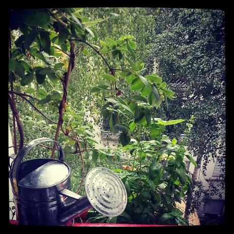 UNE VIE SOUS INSTAGRAM. ..