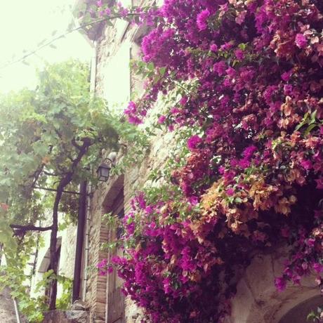 UNE VIE SOUS INSTAGRAM. ..