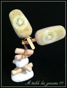 Sorbets kiwi Sorbets Kiwi