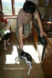 adrien_soria_chataigne