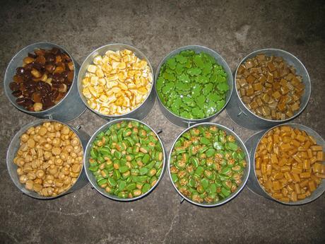 Une escapade à Vichy pour l’Art, et le plaisir IMG_2919