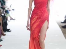 On aura tout vu Couture Hiver 2013-2014 …celebrum color cornucopia… _jlc7841