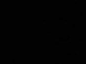 Vidéos feux d'artifice fêtes Genève 2013