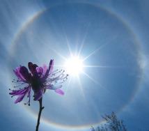 L'auréole de la perfection