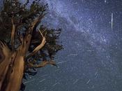 Perséides 2013 photos plus abondante pluie d’étoiles filantes