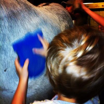 b0fc64deff8f11e2846522000a1f9d5a_7