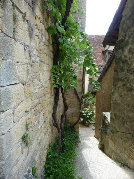 La-Roque-Gageac : un des plus beaux villages de France