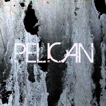 Pelican - Deny The Absolute / The Truce 7