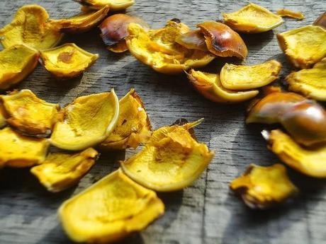 Akwidaa Village life in Ghana À Voir