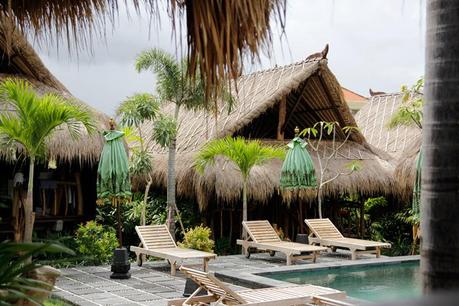 Canggu hotel calmtree - 365 days in Paradise