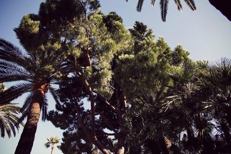 # Postcards from Cannes #