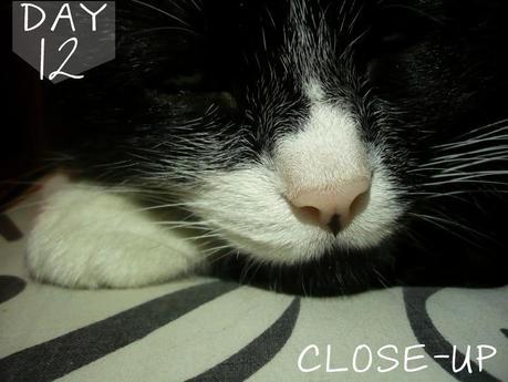 957. 30 day, photo challenge #2