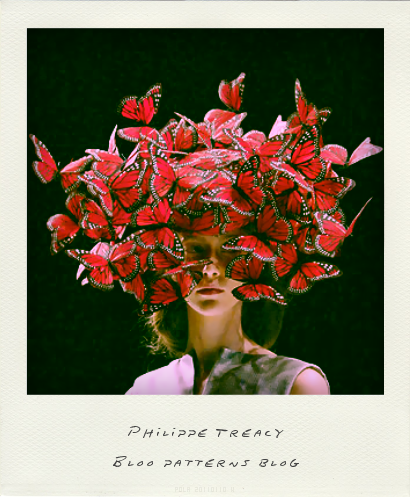 philiptreacybutterflies@Pola(20130813200639)