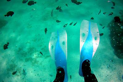 Photos sous-marines à Okinawa
