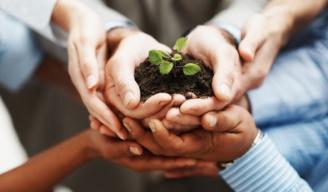 Business development - Hands holding seedling in a group