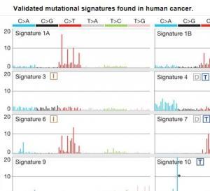 30 CANCERS courants livrent leur signature génétique – Nature