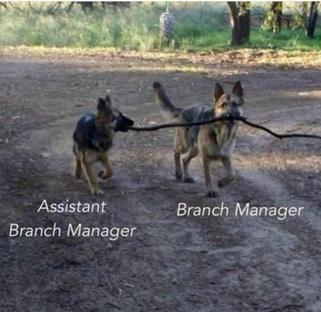 Les images de la semaine