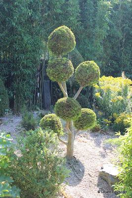 Jardin de Louanne