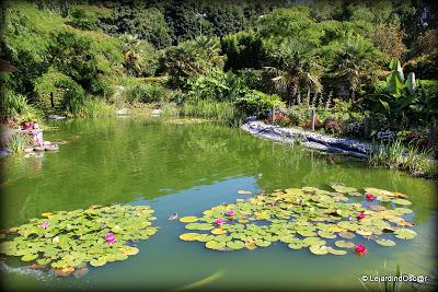Jardin de Louanne
