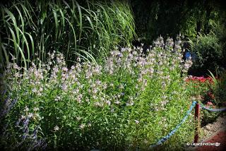 Jardin de Louanne