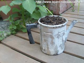 Composition improvisée