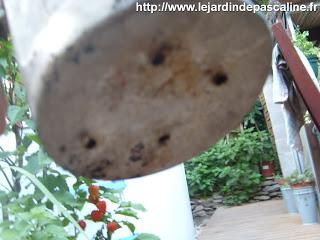 Composition improvisée