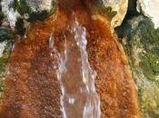 Escale gourmande route soleil