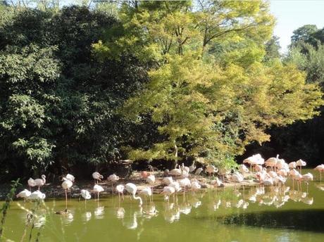 En août, changement de voie ?