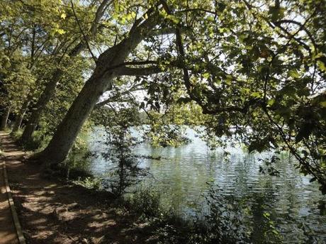 En août, changement de voie ?